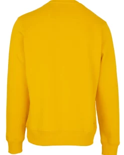 Gaastra Crew Neck Sweater Transom|Heren Truien En Sweaters
