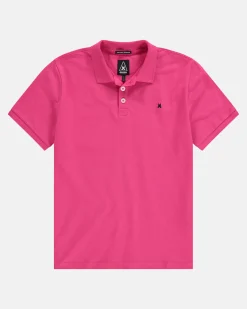 Gaastra Fairtrade Royal Polo|Heren Polo'S En T-Shirts