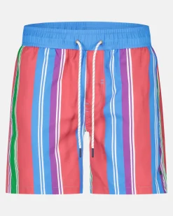 Gaastra Gestreepte Zwembroek|Heren Zwemkleding