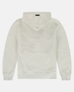 Gaastra Klassieke Arctic Fairtrade Hoody|Heren Truien En Sweaters