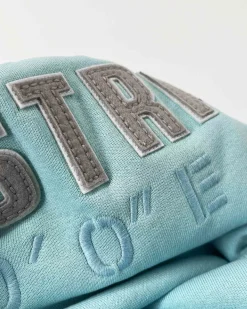 Gaastra Klassieke Arctic Fairtrade Hoody|Heren Truien En Sweaters