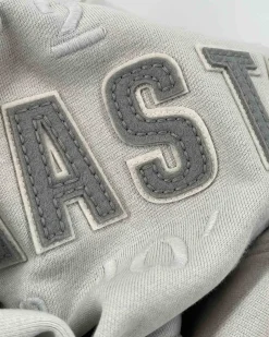Gaastra Klassieke Arctic Fairtrade Hoody|Heren Truien En Sweaters
