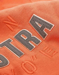 Gaastra Klassieke Arcticfairtradehoody|Heren Truien En Sweaters