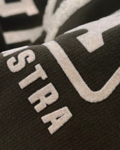 Gaastra Sportieve Trui Mangrove|Heren Truien En Sweaters